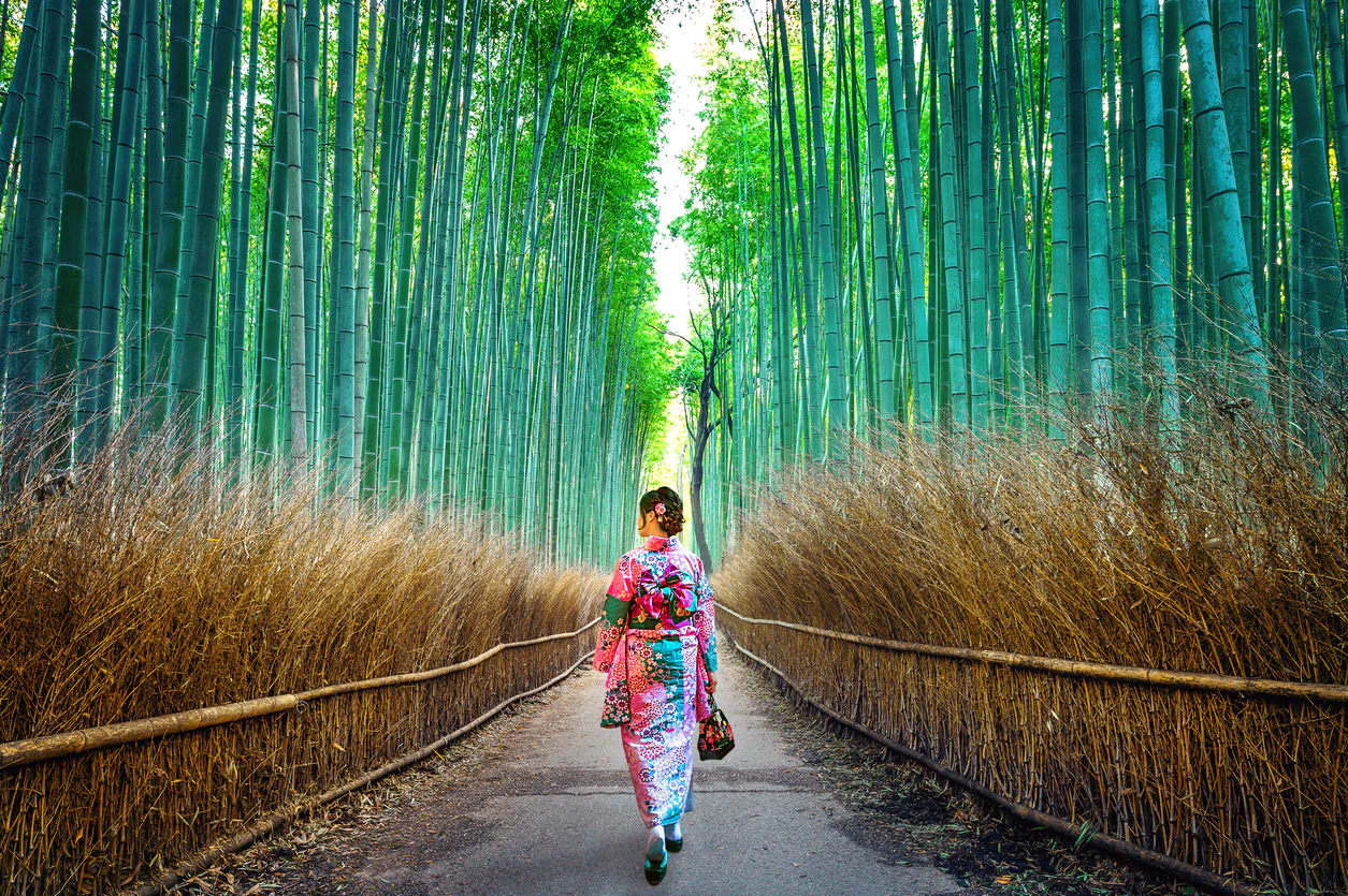 Woman in traditional kimono walking through the mystical Arashiyama Bamboo Grove in Kyoto