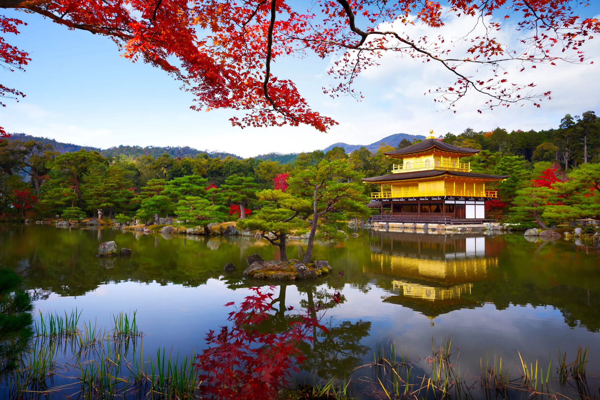 Kinkaku-ji Golden Pavilion in Kyoto with autumn maple leaves and reflection